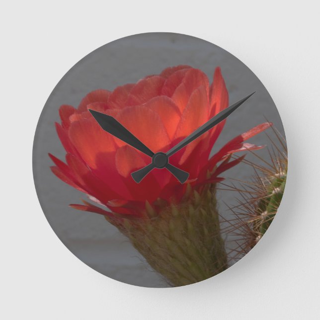 Red Torch Cactus Flower Round Clock (Front)