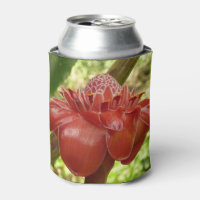 Red Torch Ginger Tropical Flower Photography