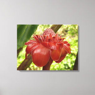 Red Torch Ginger Tropical Flower Photography Canvas Print