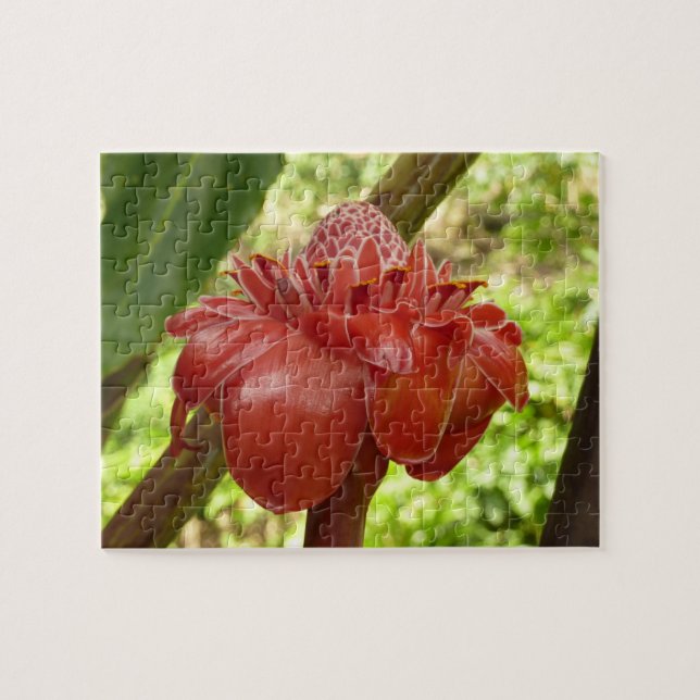 Red Torch Ginger Tropical Flower Photography Jigsaw Puzzle (Horizontal)