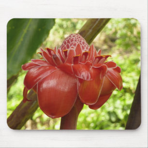 Red Torch Ginger Tropical Flower Photography Mouse Mat