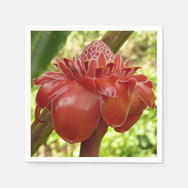 Red Torch Ginger Tropical Flower Photography Napkin (Front)