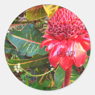 Red Torch Ginger Wedding Mail Envelope Seals