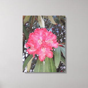 Red tree flower canvas print