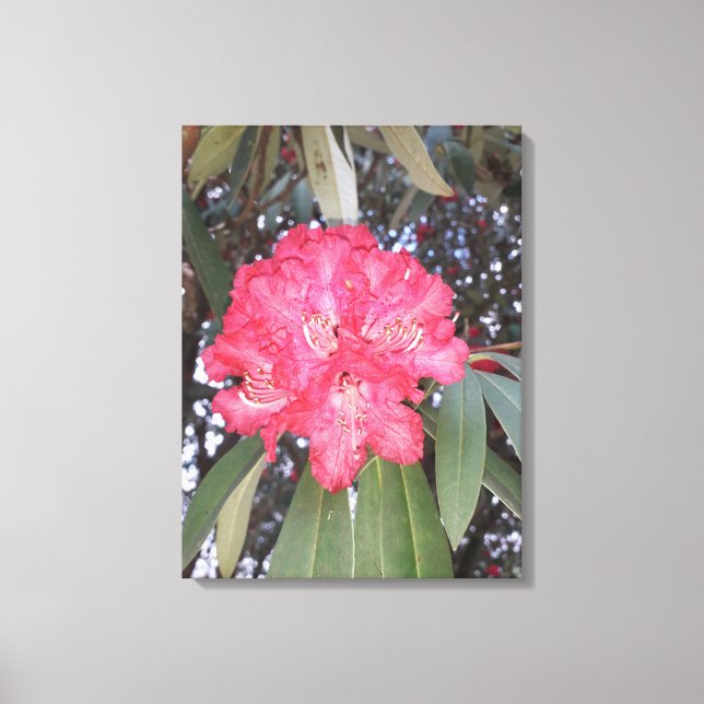 Red tree flower canvas print (Front)