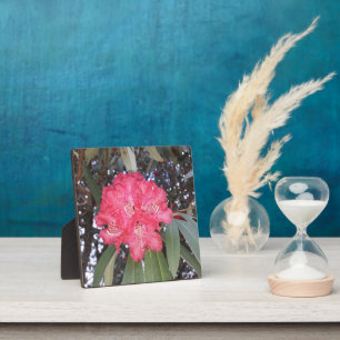 Red tree flower plaque