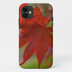 Red Tree Leaves iPhone 11 Case