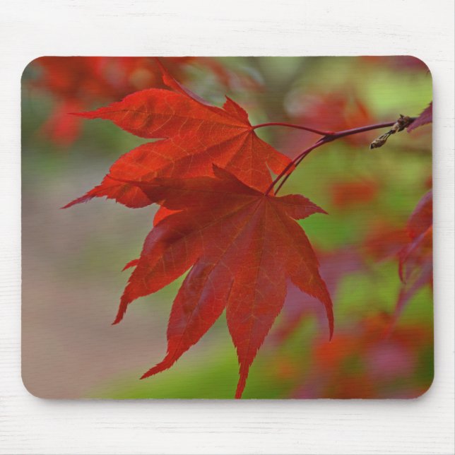 Red Tree Leaves Mouse Mat (Front)