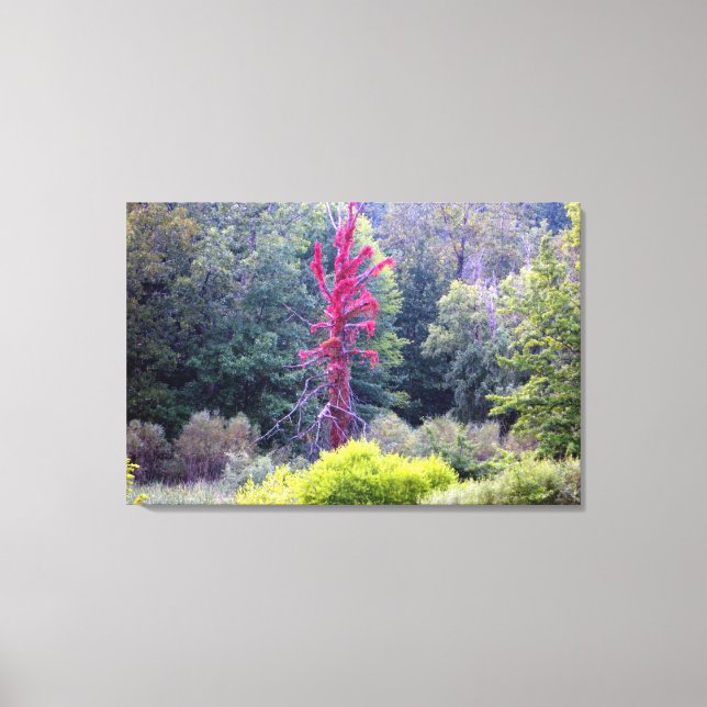 Red Tree Nature Scene (Wrapped Canvas Print) (Front)