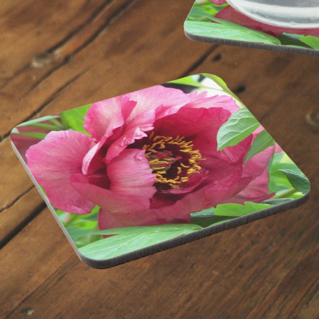 Red Tree Peony Bloom Floral Coaster (In Situ)