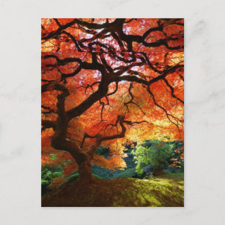 Red Tree Postcard