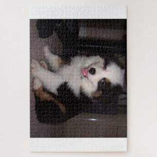 red tri Puppy mini aussie Jigsaw Puzzle