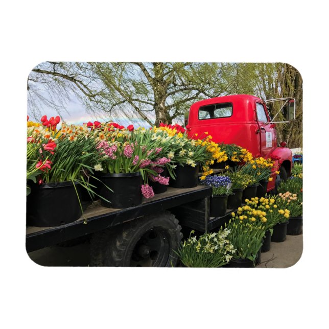 Red Truck with Spring Flowers & Rainbow Magnet (Horizontal)