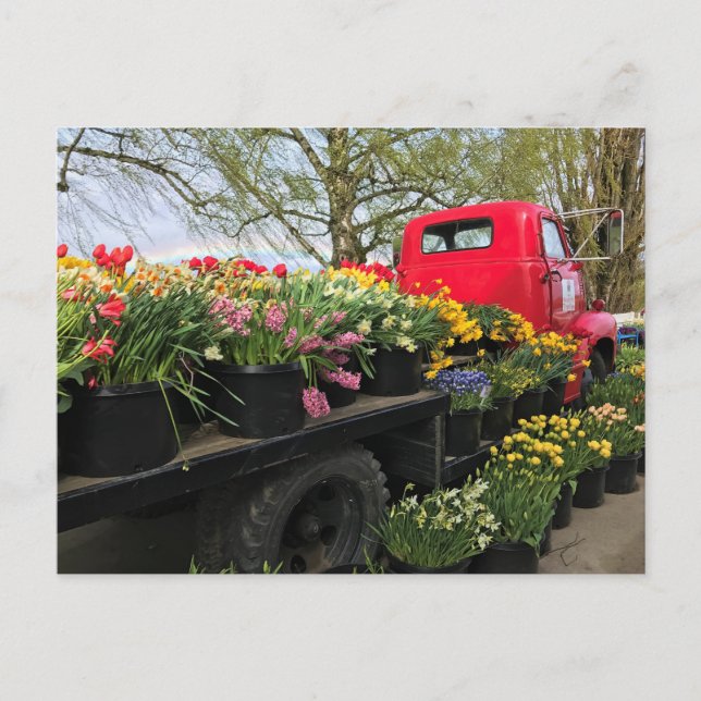 Red Truck with Spring Flowers & Rainbow Postcard (Front)