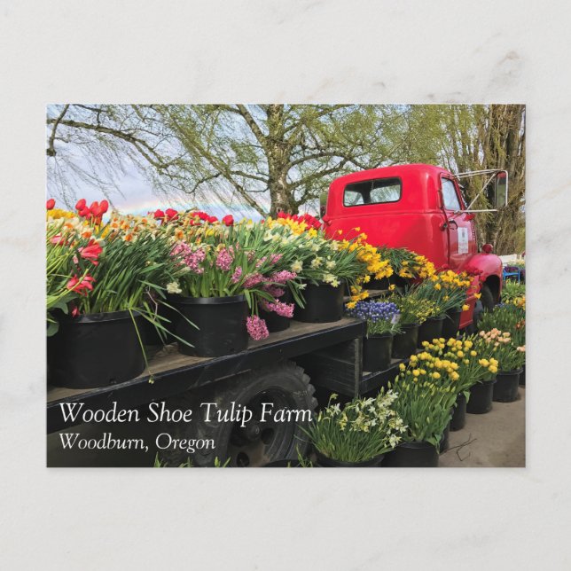 Red Truck with Spring Flowers & Rainbow Postcard (Front)
