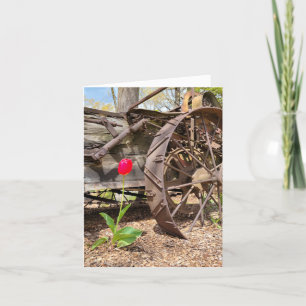 Red Tulip and Old Wagon Note Card