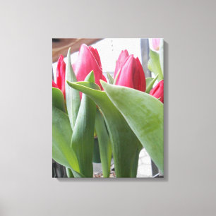 Red Tulip Canvas Print