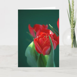 Red Tulip Card