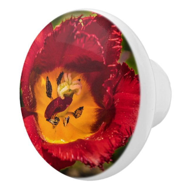 Red tulip ceramic knob (Right)
