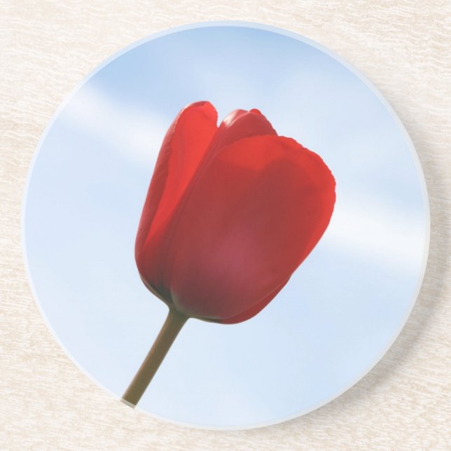 Red Tulip Coaster (Front)