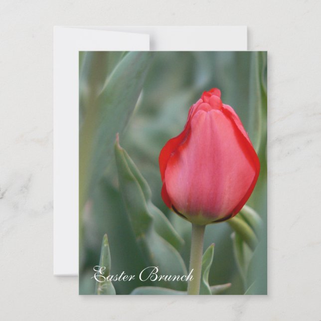 Red Tulip Easter Brunch Invitations (Front)