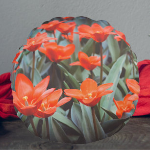 Red tulip field round cushion