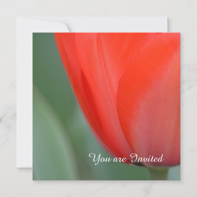 Red Tulip Flower Birthday Invitation (Front)