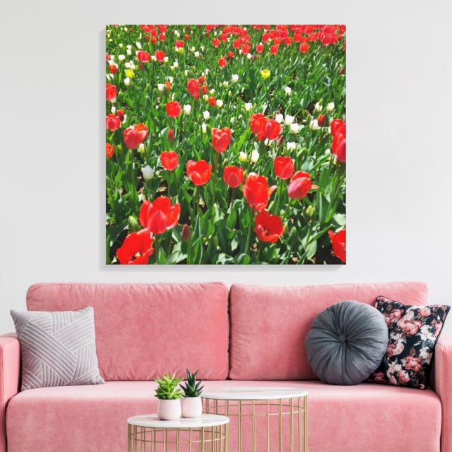 Red Tulip Flower Field Nature Photography Canvas Print (Insitu(LivingRoom))