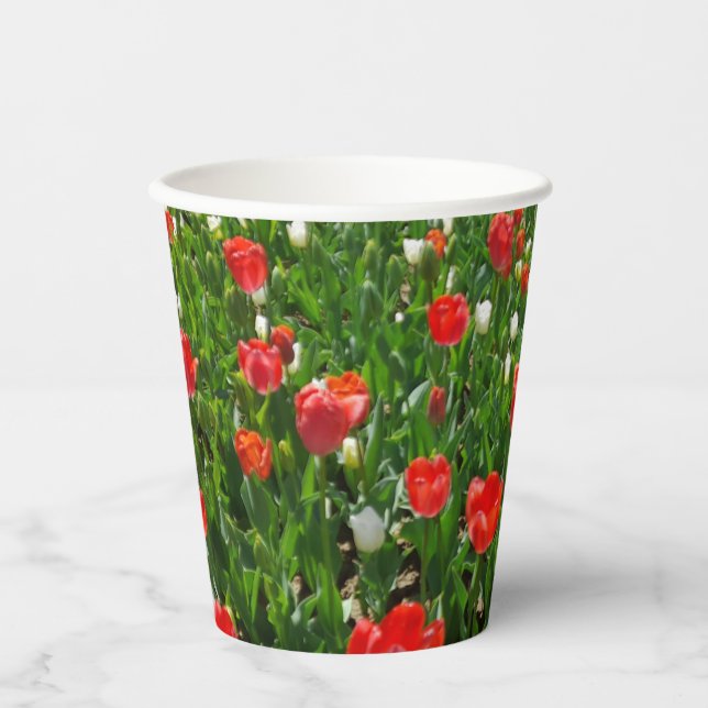 Red Tulip Flower Field Nature Photography Paper Cups (Front)