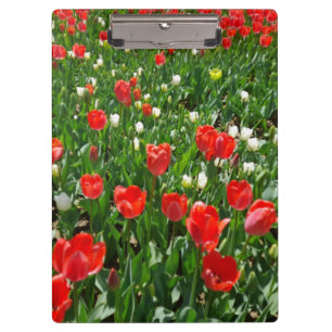 Red Tulip Flower Field Photo Clipboard
