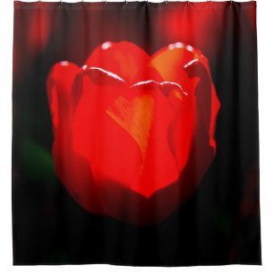 Red Tulip Flower - Fire Shower Curtain