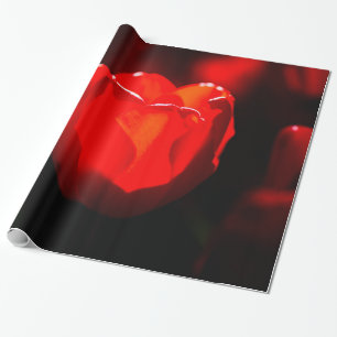 Red Tulip Flower - Fire Wrapping Paper