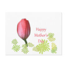 red tulip flower, happy mother's day