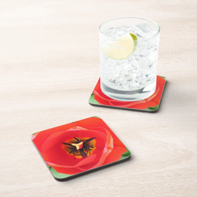 Red Tulip Flower Macro Photo Set of 6 Coaster (Right Side)