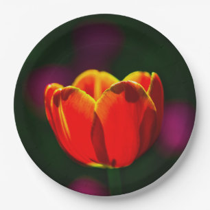 Red tulip flower paper plate