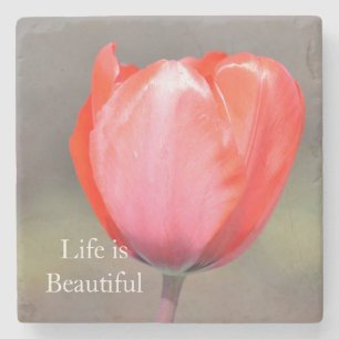 Red Tulip Flower (photo by me) Stone Coaster