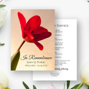 Red Tulip Flower Spring Funeral Memorial Service Programme