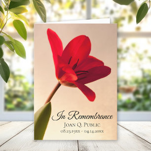 Red Tulip Flower Spring Funeral Service Folded Programme