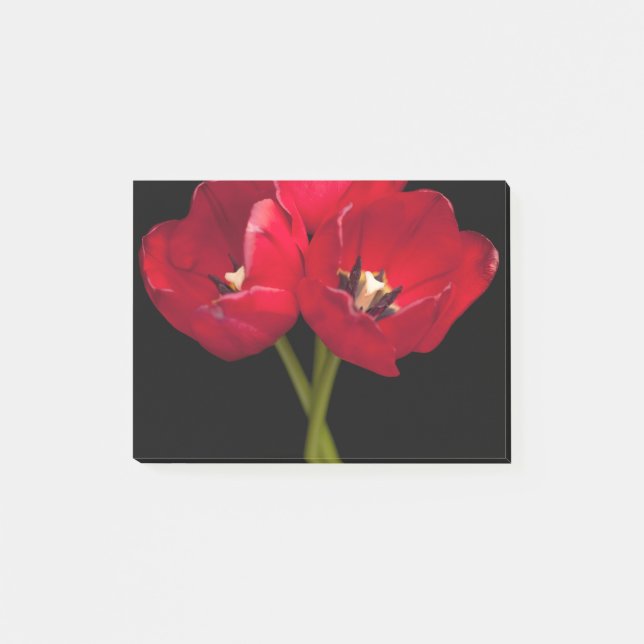 Red Tulip Flowers Black Background Floral Flower Post-it Notes (Front)