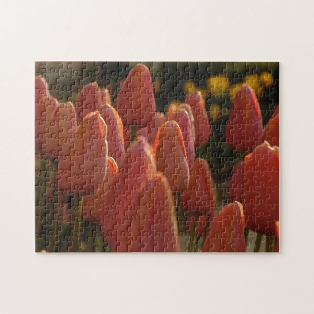 Red Tulip Flowers Creative  Jigsaw Puzzle (Horizontal)