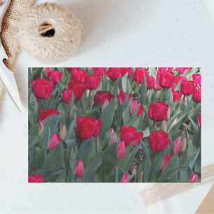 Red Tulip Garden Floral Tissue Paper