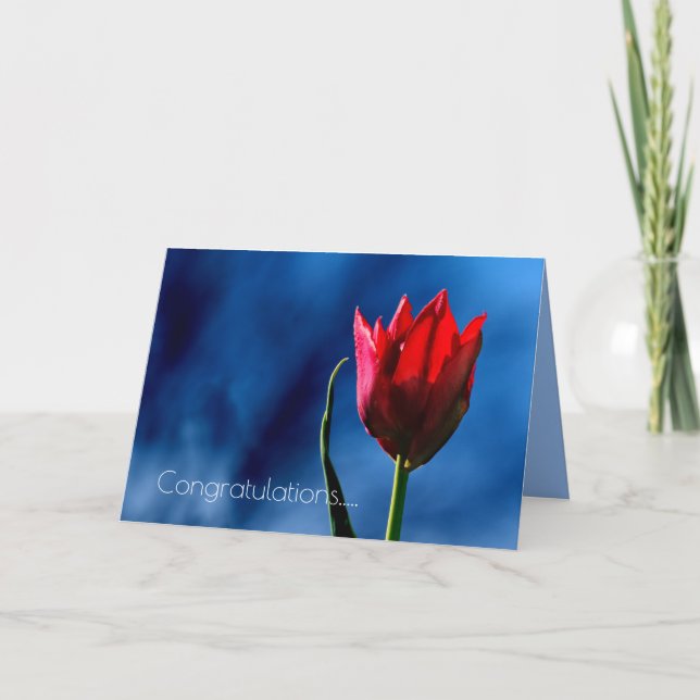 Red Tulip Happy Divorce Day Card (Front)