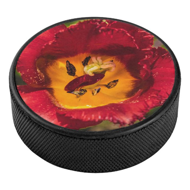 Red tulip hockey puck (3/4)