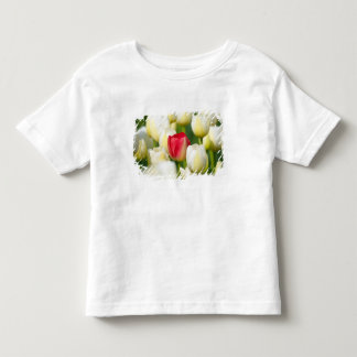 Red tulip in a field of white tulips toddler T-Shirt
