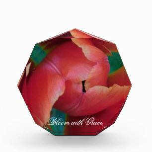 Red Tulip Macro Photo Art Block