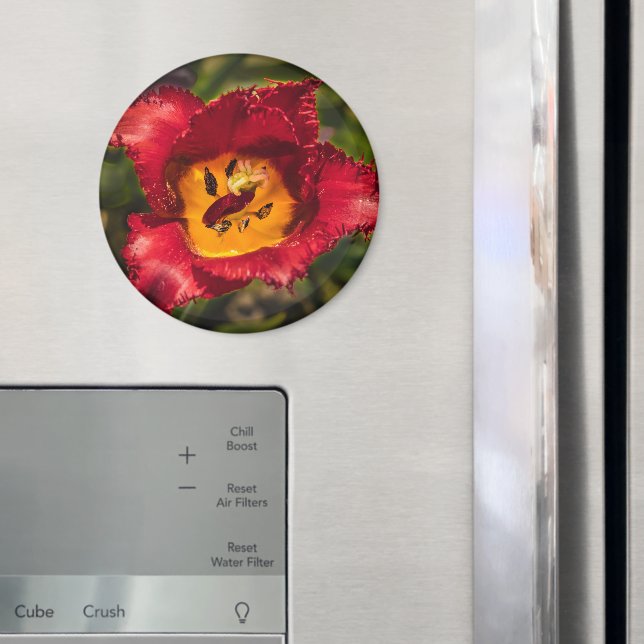 Red tulip magnet (In Situ (Fridge))