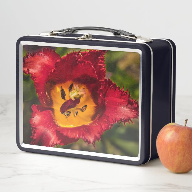 Red tulip metal lunch box (In Situ)