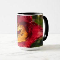 Red tulip