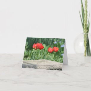 Red Tulip Note Cards