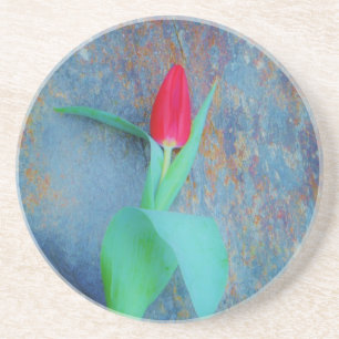 Red Tulip on Blue Gray Slate Coaster